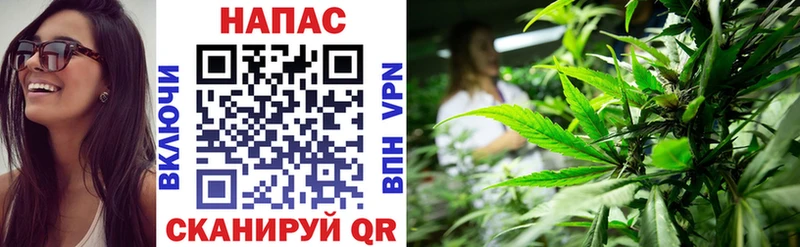 Хочу наркоту Тольятти ГАШИШ  Бошки Шишки  Кокаин  Меф 