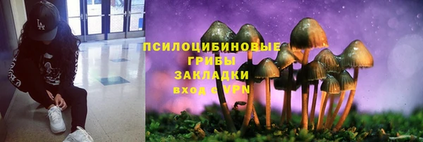 ECSTASY Алзамай