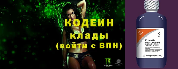 ECSTASY Алзамай