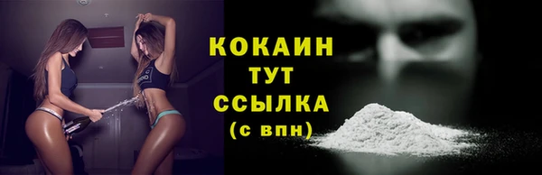 ECSTASY Алзамай