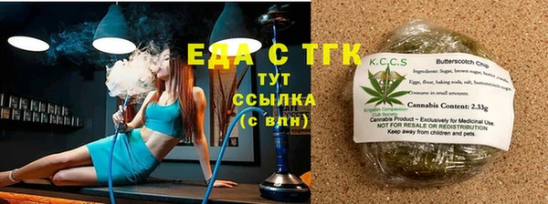 ECSTASY Алзамай