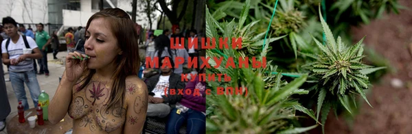 ГАЛЛЮЦИНОГЕННЫЕ ГРИБЫ Абаза
