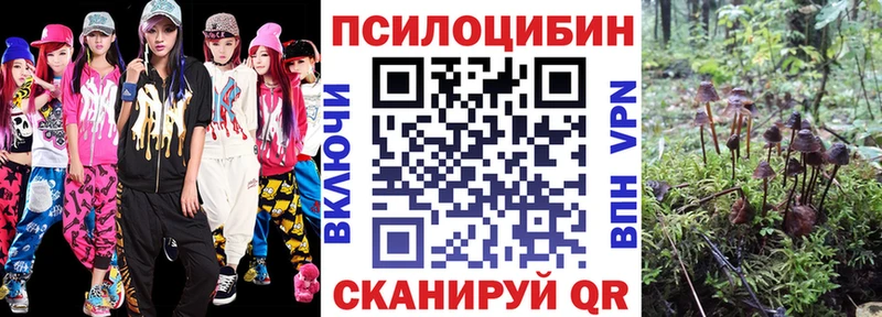 купить сайты Тольятти Галлюциногенные грибы мухоморы
